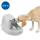 Automatic Drinking Fountain for Pets