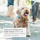 Health & Location Tracker for Pets