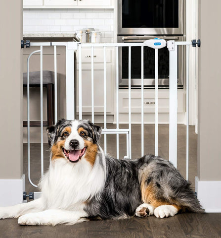 Extra Wide Walk Through Pet Gate with Small Pet Door