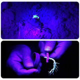 21 LED UV Flashlight for Cat/Dog Urine, Pet Stains and Bed Bug Matching with Pet Odor Eliminator