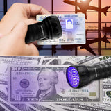21 LED UV Flashlight for Cat/Dog Urine, Pet Stains and Bed Bug Matching with Pet Odor Eliminator