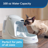 Automatic Drinking Fountain for Pets