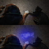 21 LED UV Flashlight for Cat/Dog Urine, Pet Stains and Bed Bug Matching with Pet Odor Eliminator