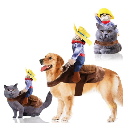 Funny Pet Riding Dress Ups