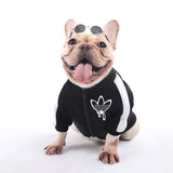 Winter Pet Dog Jacket  For Small Medium Dogs