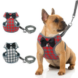 Small Cat-Dog Bowknot Harness and Leash Set