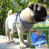 Reflective Small Cat-Dog Harness And Leash Set