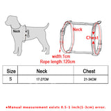 Adjustable Nylon Cat-Dog Harness And Leash Set